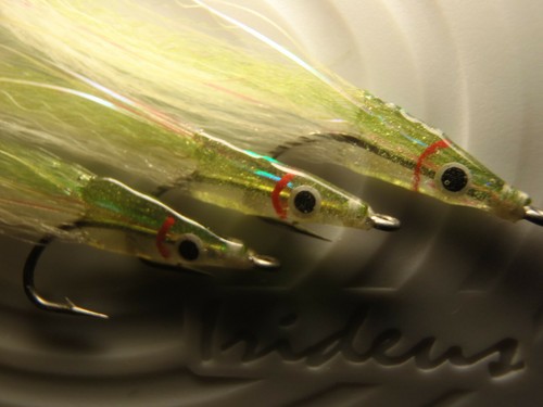 Irideus pixie baitfish - pixie,